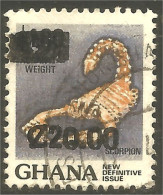 XW01-1231 Ghana Scorpion Insect Insecte - Altri & Non Classificati