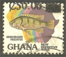XW01-1235 Ghana Poisson Fish Fisch Pescado Peixe Vis Alimentation Food - Vissen