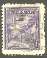 XW01-1167 Philippines Palm Trees Palmier Arbre Baum - Trees