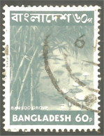 XW01-1164 Bangladesh Bamboo Grove Tree Arbre Bambou - Alberi