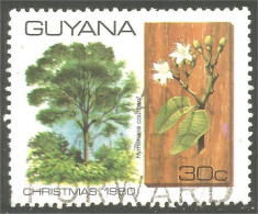 XW01-1156 Guyana Noel Christmas Tree Arbre Weinachten Baum - Árboles