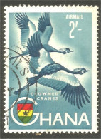 XW01-1123 Ghana Crowned Cranes Grues Couronnées - Autres & Non Classés
