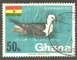 XW01-1131 Ghana Oiseau Bird Vogel Uccello Black-winged Stilt - Autres & Non Classés