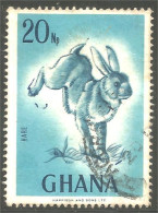 XW01-1114 Ghana Lapin Hase Hare Rabbit Coniglio Kaninchen Conejo - Lapins