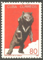 XW01-1111 Cuba Ours Bear Bar Orso Oso Soportar - Ours