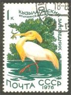 XW01-1118 Russia Oiseau Bird Vogel Uccello - Autres & Non Classés