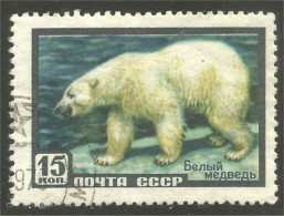 XW01-1109 Russie Ours Blanc Polar Bear Polaire Bar Orso Oso Soportar - Ours