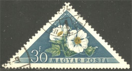 XW01-1066 Hongrie Fleur Flower Blume Vitifolia - Sonstige & Ohne Zuordnung