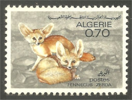 XW01-1056 Algérie Renard Fennec Fenec Fox Fuchs Zorro Volpe - Dogs