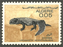 XW01-1055 Algérie Lézard Lizzard Iguane Iguana Reptile - Autres & Non Classés