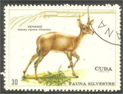 XW01-1035 Cuba Cerf Chevreuil Deer Venado Reh Hirsch Ciervo Cervo - Autres & Non Classés