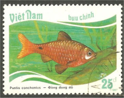 XW01-1031 Vietnam Poisson Fish Fisch Pescare Vis - Vissen