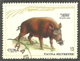 XW01-1034 Cuba Sanglier Jibano Wild Boar Jabalí Wildschwein - Autres & Non Classés