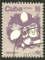 XW01-1976 Cuba Flower Fleur Orchidée Orchid Orkid Orquidea Orchidea - Otros & Sin Clasificación