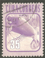 XW01-1967 Cuba Manatee Lamantin Manati Seekuh - Cows