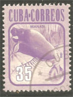 XW01-1966 Cuba Manatee Lamantin Manati Seekuh - Otros & Sin Clasificación