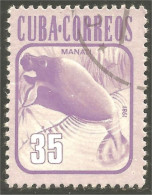 XW01-1965 Cuba Manatee Lamantin Manati Seekuh - Andere & Zonder Classificatie