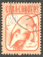 XW01-1960 Cuba Almiqui Solénodon Solenodon Animal Insect - Otros & Sin Clasificación