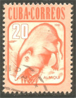 XW01-1959 Cuba Almiqui Solénodon Solenodon Animal - Otros & Sin Clasificación