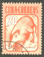 XW01-1958 Cuba Almiqui Solénodon Solenodon Animal - Andere & Zonder Classificatie