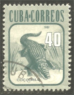 XW01-1953 Cuba Crocodile Cocodrilo Krokodil Coccodrillo - Andere & Zonder Classificatie