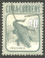 XW01-1944 Cuba Crocodile Cocodrilo Krokodil Coccodrillo - Sonstige & Ohne Zuordnung