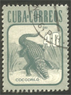 XW01-1943 Cuba Crocodile Cocodrilo Krokodil Coccodrillo - Andere & Zonder Classificatie