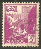 XW01-1901 Maroc Mouettes Move Gulls 5f Vert - Gabbiani