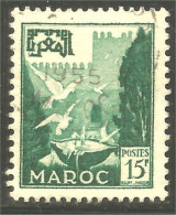 XW01-1902 Maroc Mouettes Move Gulls 15f Vert - Gaviotas