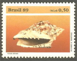 XW01-1832 Brazil 1989 Conch Conque Coquillage Shell MNH ** Neuf SC - Neufs