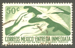 XW01-1830 Mexico Colombe Dove Paloma Paix Peace Friede - Pigeons & Columbiformes