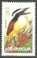 XW01-1785 Nicaragua Oiseau Bird Vogel Uccello Kiskadee Pájaro - Andere & Zonder Classificatie