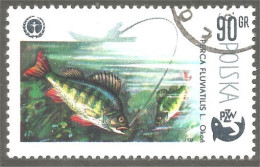 XW01-1768 Poland Poisson Pêche Fishing Fish Fisch Pescare Vis Pesce Pescado Bateau Boat Angeln - Alimentación