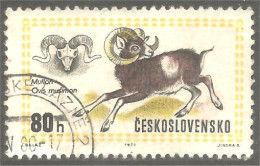 XW01-1760 Czechoslovakia Moufflon Muflon Muflone Mufflon - Andere & Zonder Classificatie