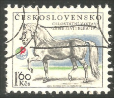 XW01-1752 Czechoslovakia Horse Cheval Pferd Paard Caballo - Horses