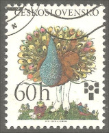 XW01-1747 Czechoslovakia Oiseau Bird Vogel Uccello Paon Peacock Pavone Pfau Pavo - Paons