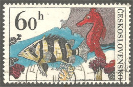 XW01-1748 Czechoslovakia Hippocampe Seepferdchen Seahorse - Peces