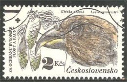 XW01-1744 Czechoslovakia Oiseau Bird Vogel Uccello Bec-croisé Crossbill - Autres & Non Classés