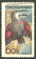 XW01-1737 Czechoslovakia Oiseau Bird Vogel Uccello - Andere & Zonder Classificatie