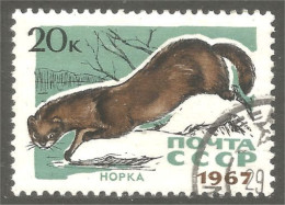 XW01-1724 Russia Mink Vison Nerz Visone - Autres & Non Classés