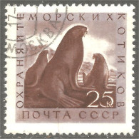 XW01-1726 Russia Phoque Morse Seal Walrus Walross Siegel Foca Sello Tricheco Morsa - Otros & Sin Clasificación