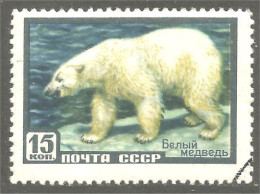 XW01-1722 Russia Ours Polaire Oso Polar Bear Orso Polare Eisbär - Orsi