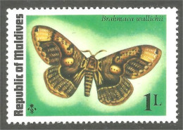 XW01-1689 Maldives Papillon Butterfly Schmetterling Farfala Mariposa MNH ** Neuf SC - Malediven (1965-...)