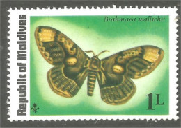 XW01-1688 Maldives Papillon Butterfly Schmetterling Farfala Mariposa MNH ** Neuf SC - Vlinders
