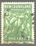 XW01-1638 Terre-Neuve Canada Newfoundland Morue Cod Codfish 1c Green Vert - Ernährung