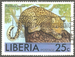 XW01-1633 Liberia Panthère Panther Félin Feline Pantera - Felinos