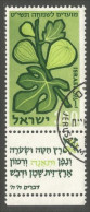 XW01-1589 Israel Figue Fig With Tab - Fruits