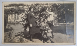 PH - Ph Original - Trois Femmes D'âges Différents Cueillant Des Fleurs Sur Un Grand Arbre Dans Un Parc - Personnes Anonymes