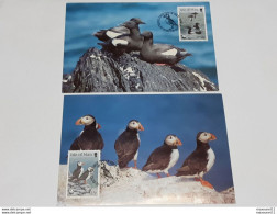 Birds - Oiseaux - Lot De 3 Cartes - Maximum De L'Isle De Man .. Lot140 . - Isla De Man