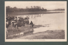 CP - 56 - Ploërmel - Bords Du Lac - Ploërmel